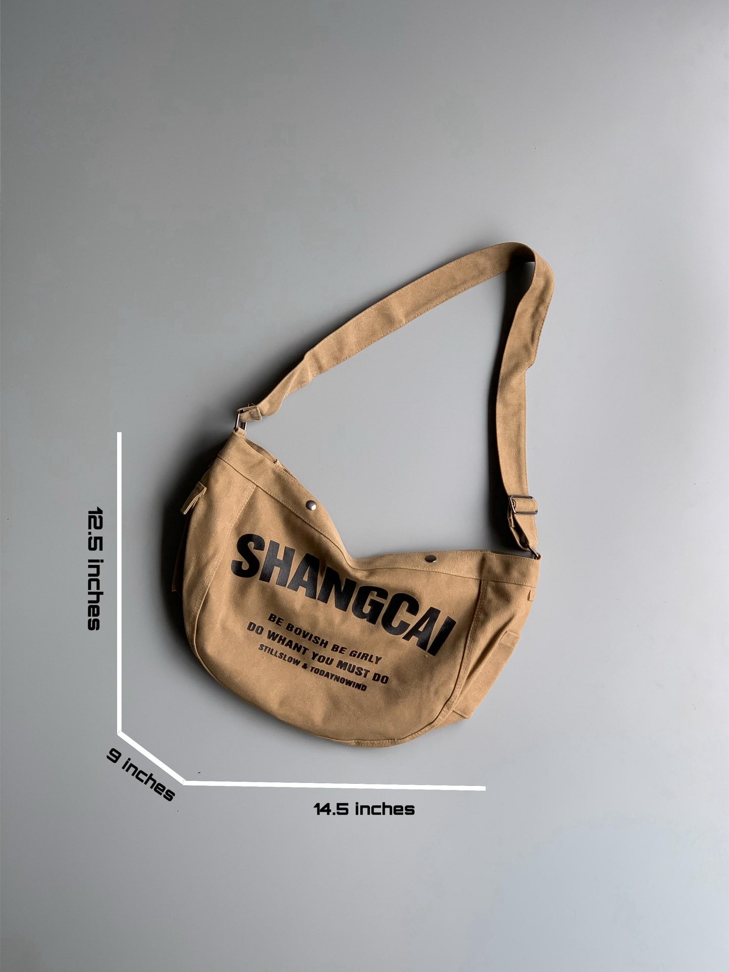 Shangcai Imp hobo bag