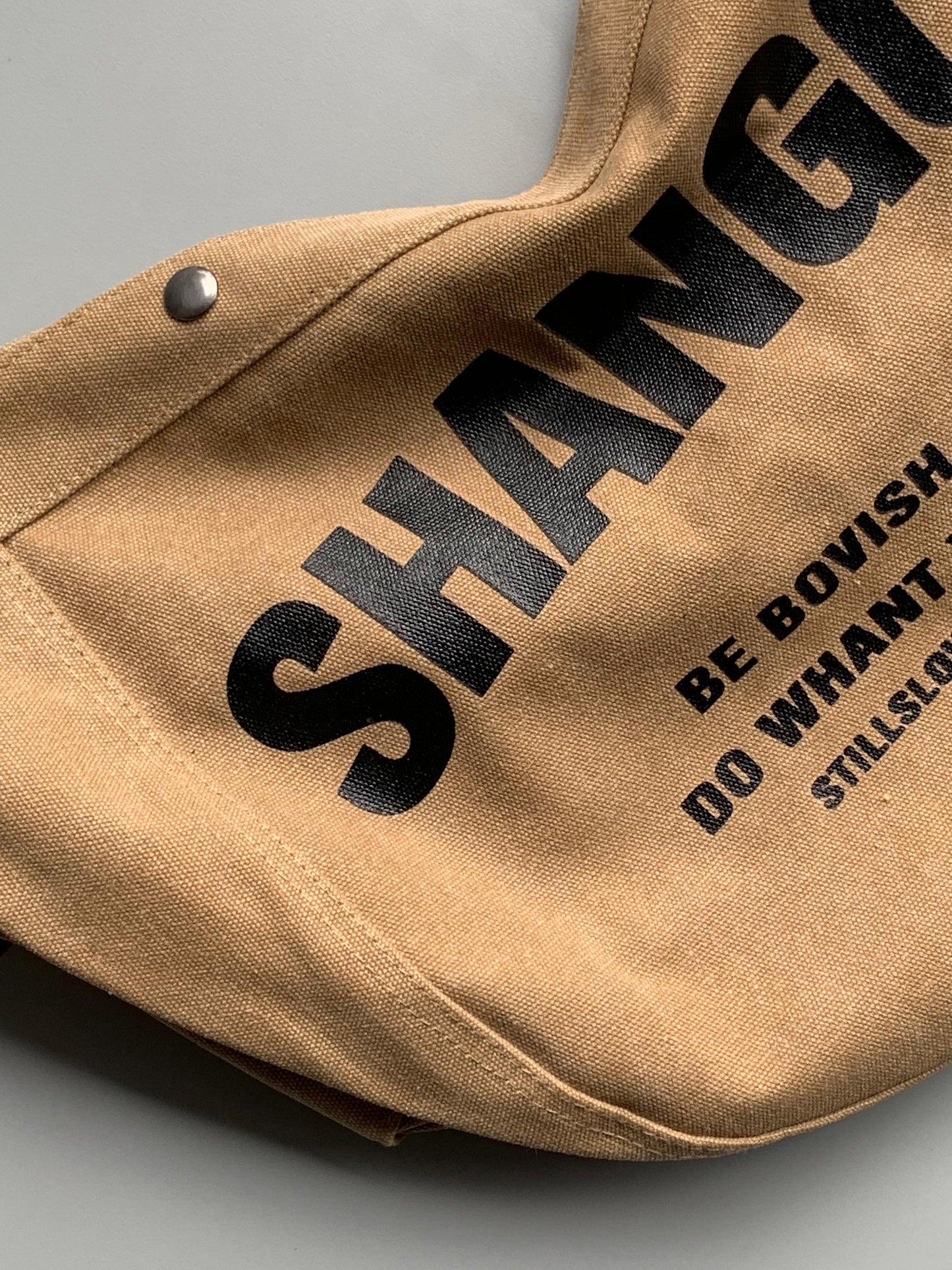 Shangcai Imp hobo bag