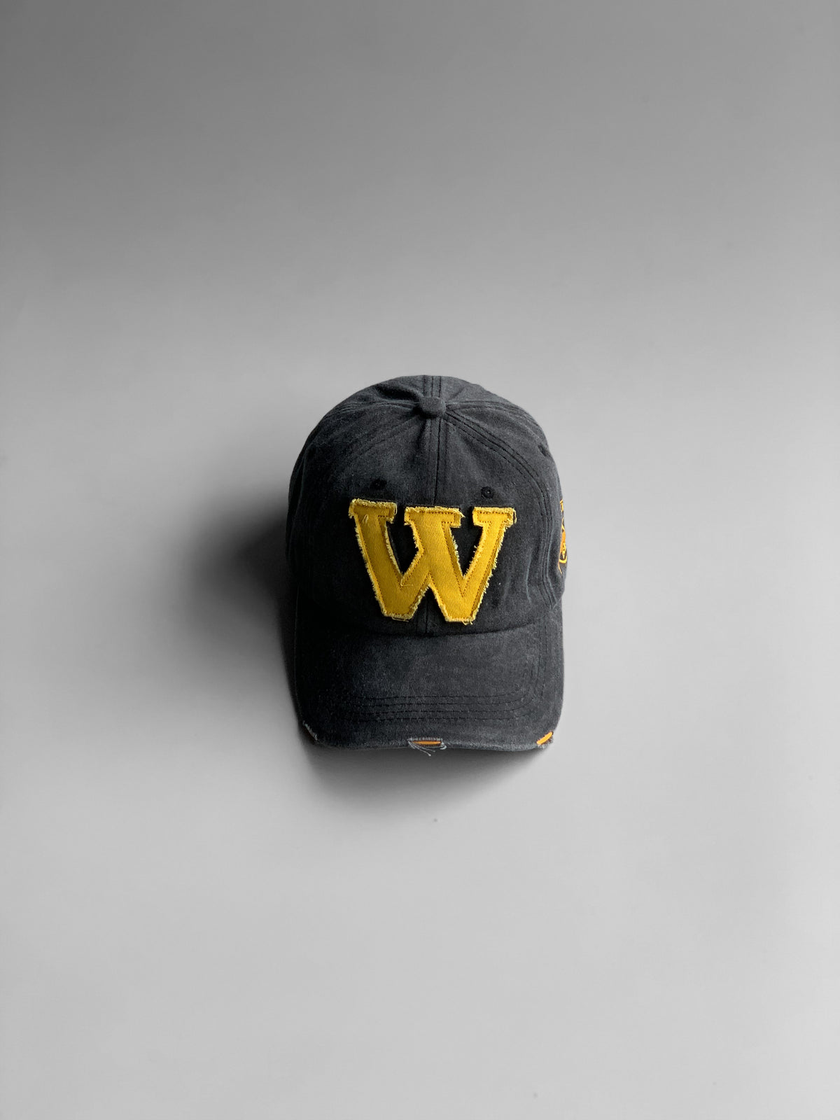 'w' distressed denim cap