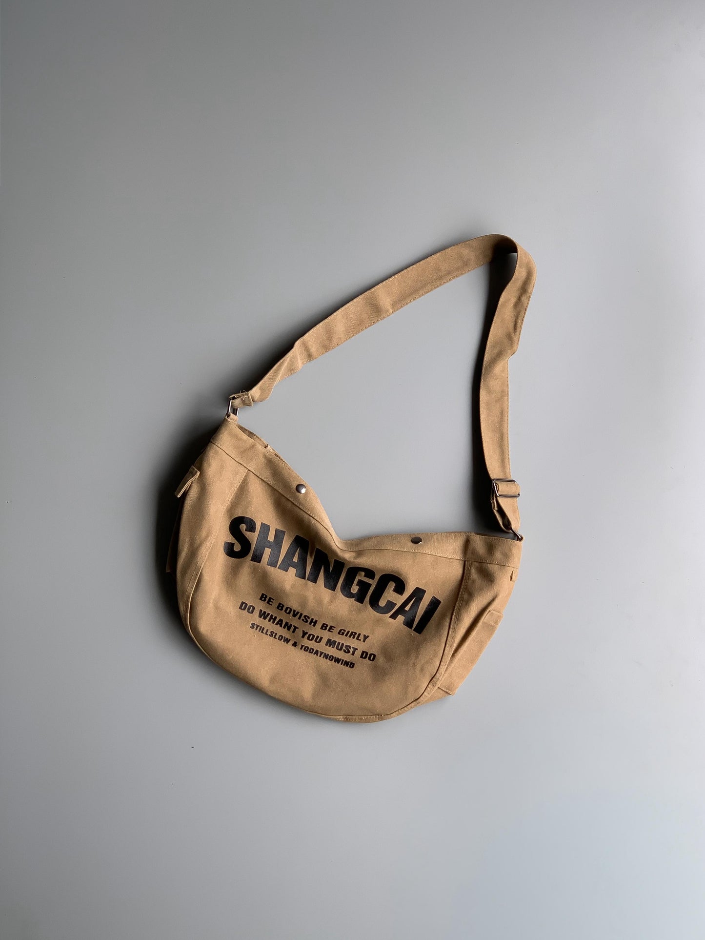 Shangcai Imp hobo bag